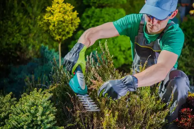 landscaping services McRoberts